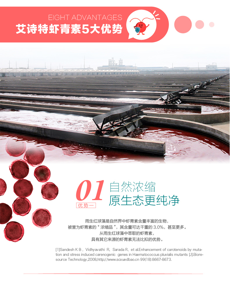 艾诗特3499拉斯维加斯