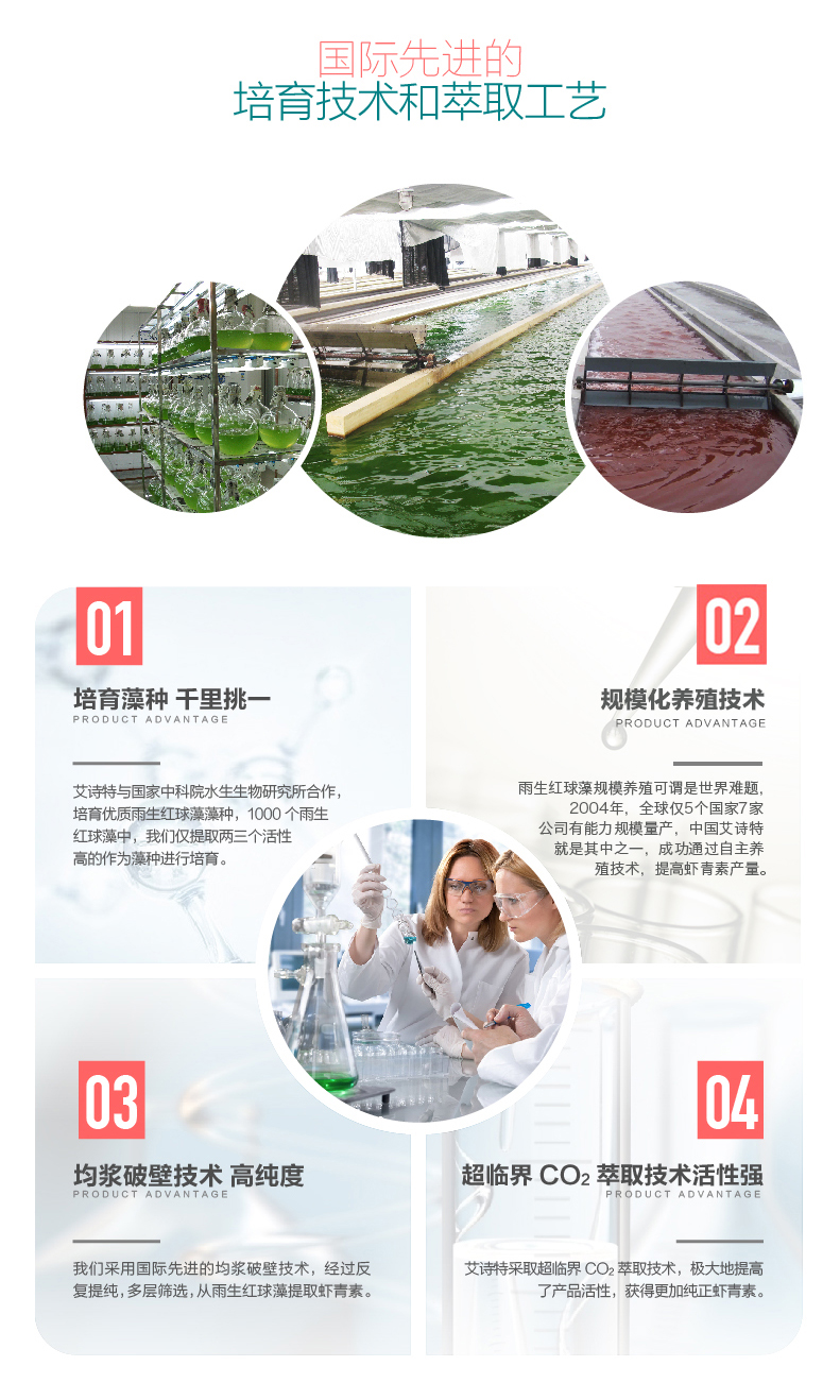 艾诗特3499拉斯维加斯
