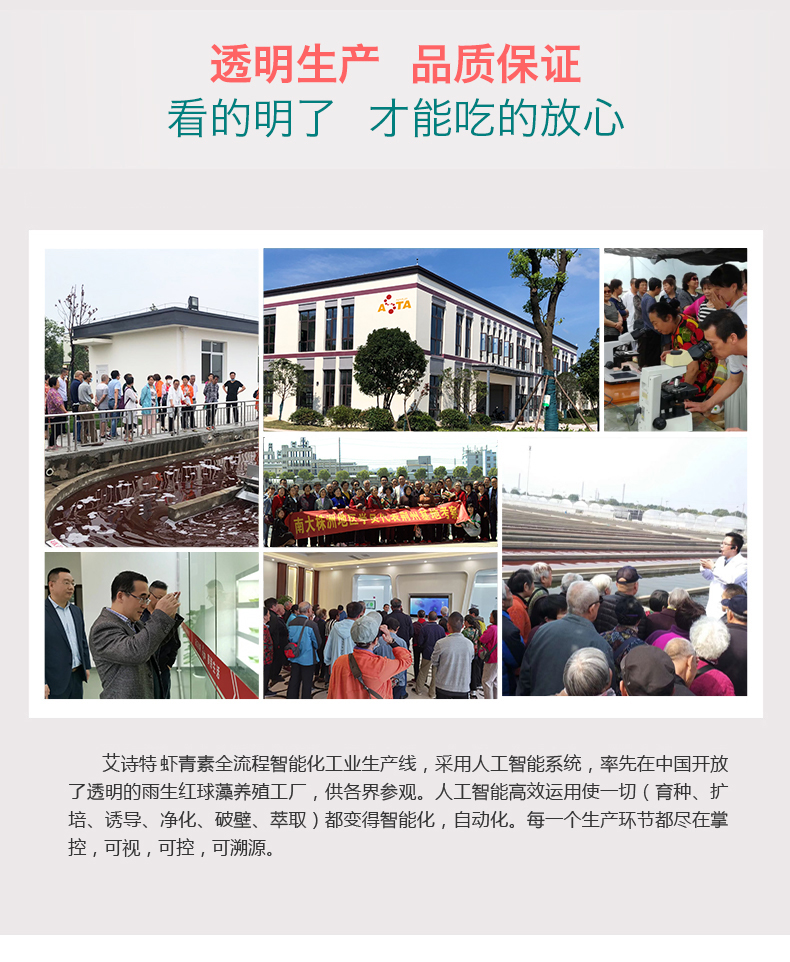 艾诗特3499拉斯维加斯