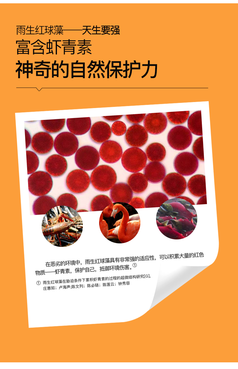 艾诗特3499拉斯维加斯