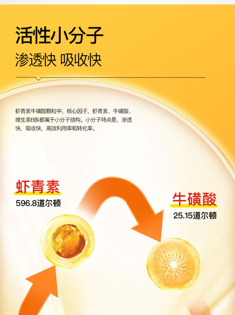 艾诗特3499拉斯维加斯
