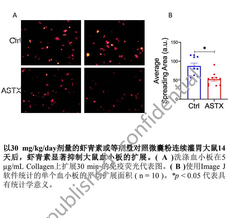 艾诗特3499拉斯维加斯 艾诗特3499拉斯维加斯