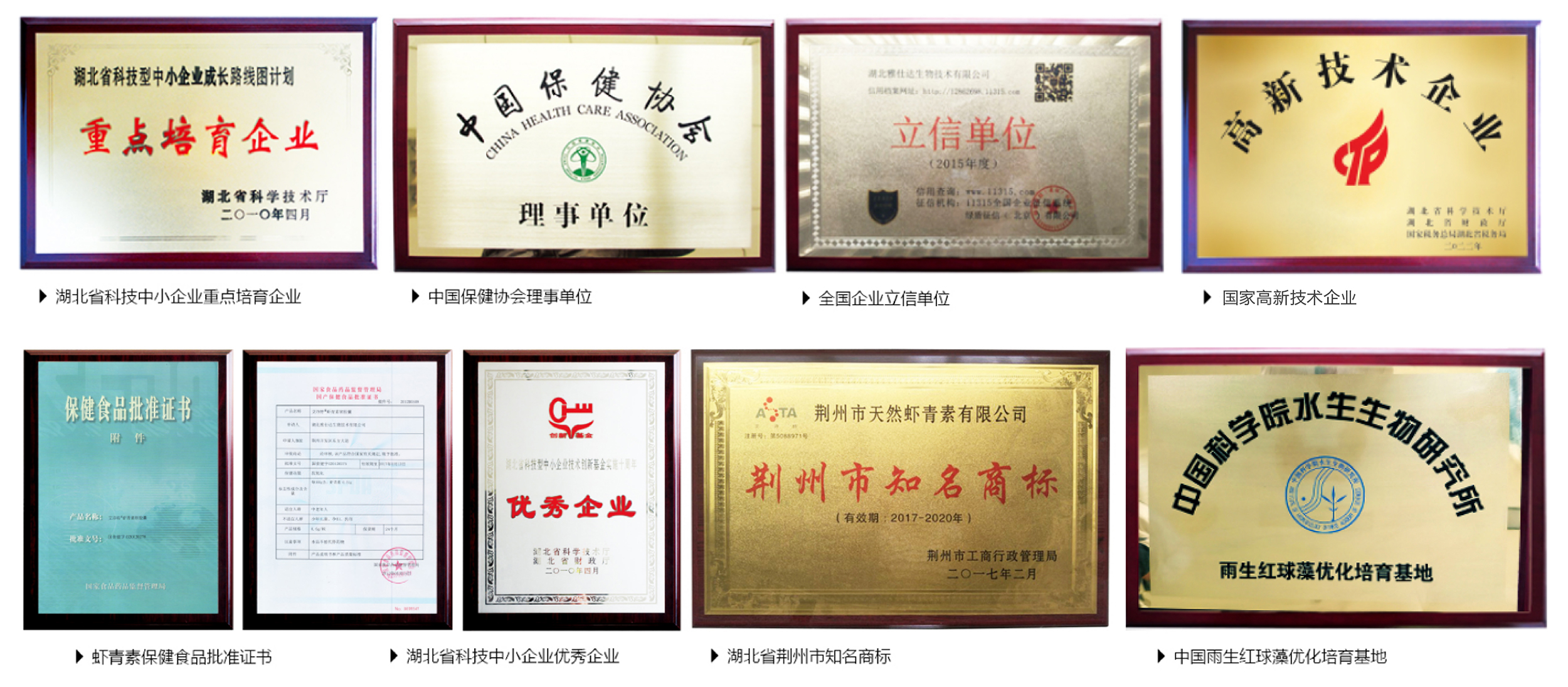 艾诗特3499拉斯维加斯 艾诗特3499拉斯维加斯