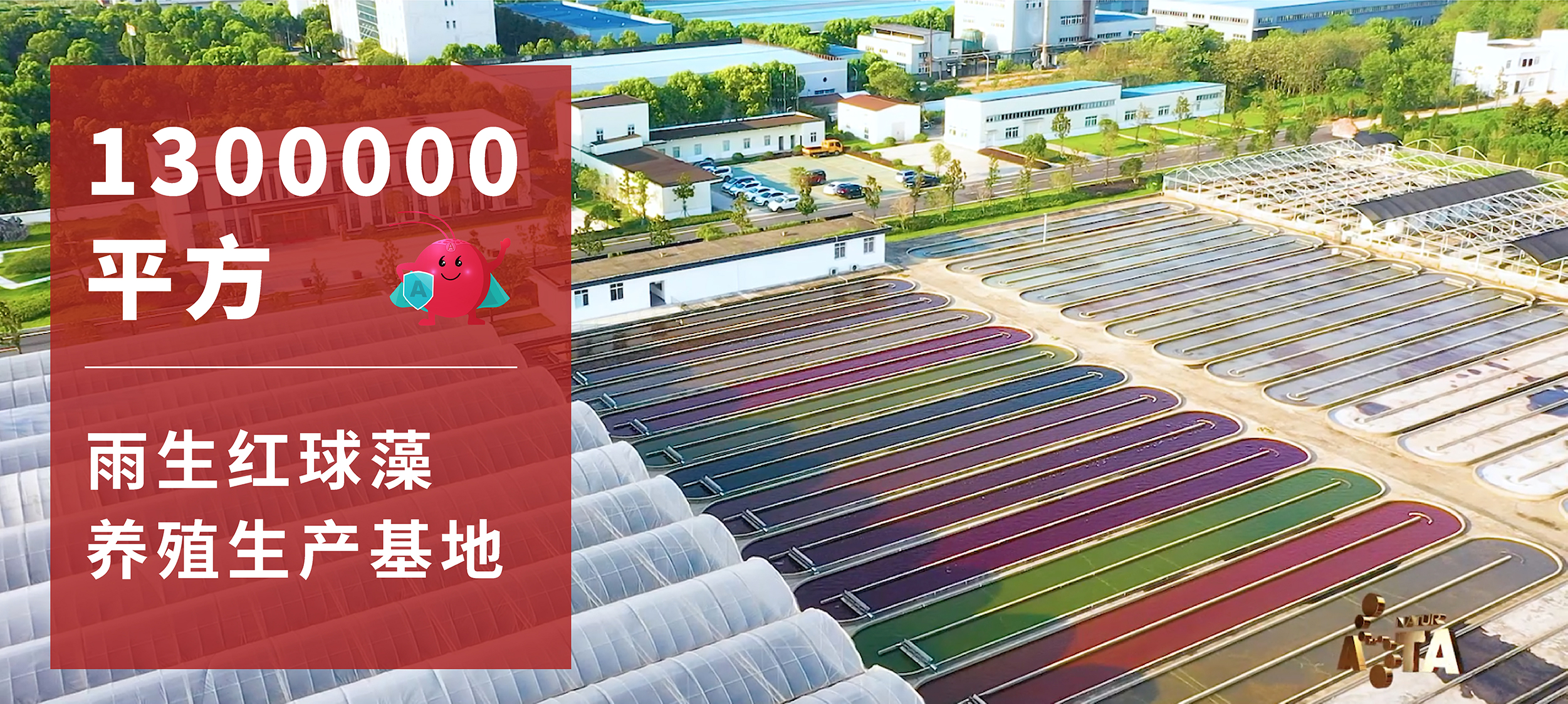 艾诗特3499拉斯维加斯 艾诗特3499拉斯维加斯