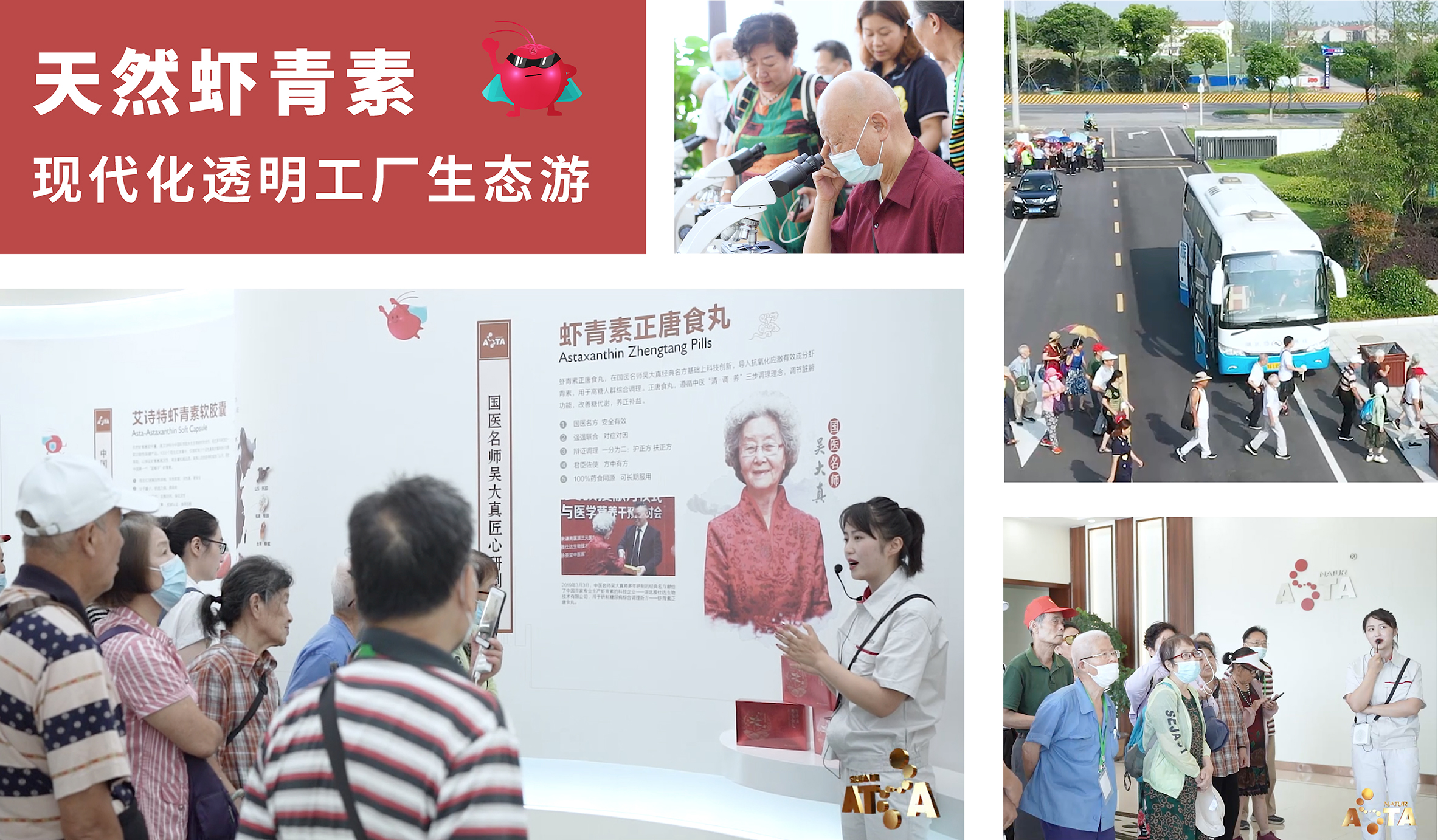 艾诗特3499拉斯维加斯 艾诗特3499拉斯维加斯
