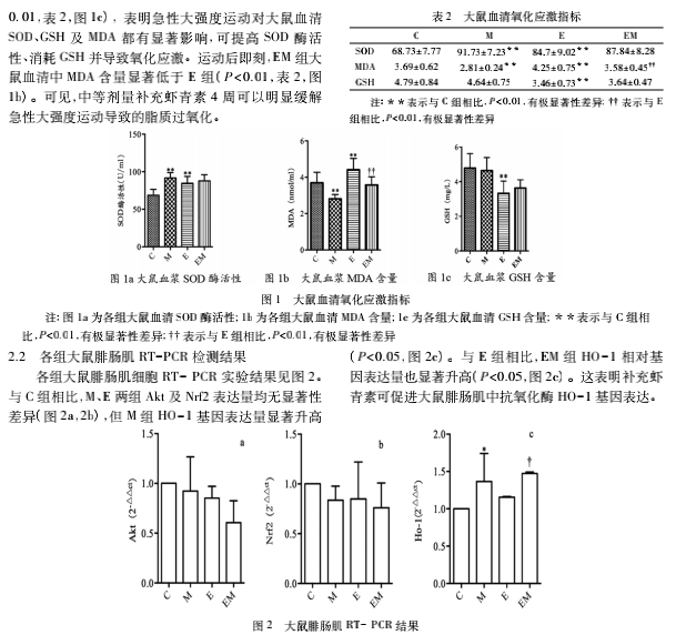 艾诗特3499拉斯维加斯