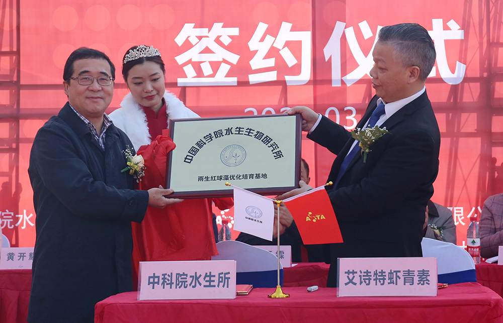 艾诗特3499拉斯维加斯 艾诗特3499拉斯维加斯