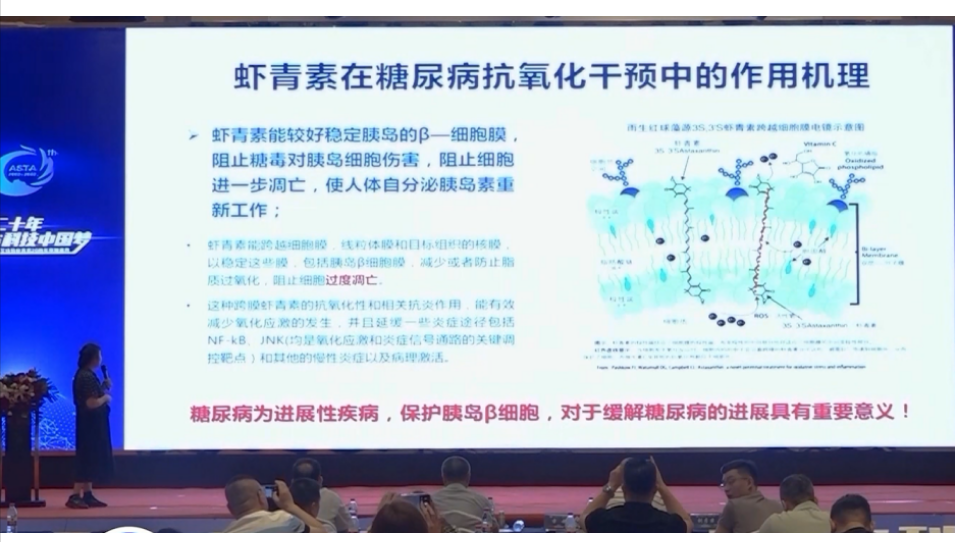 艾诗特3499拉斯维加斯