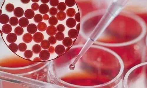 艾诗特3499拉斯维加斯