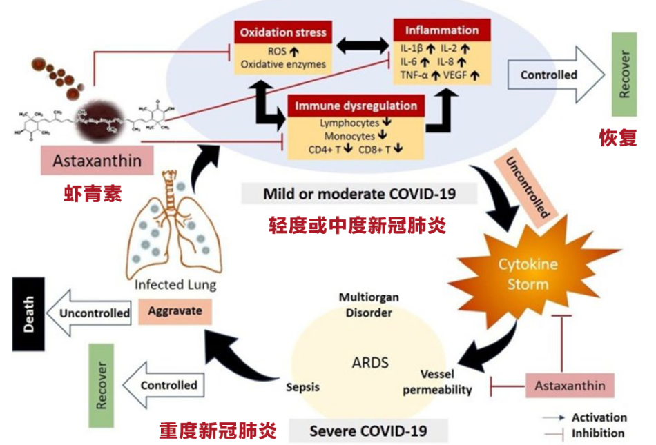 艾诗特3499拉斯维加斯