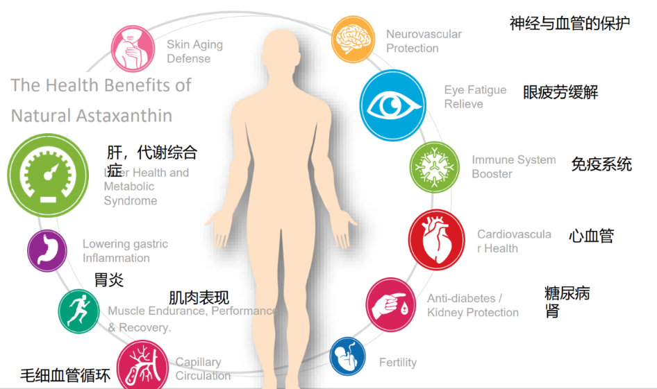 艾诗特3499拉斯维加斯