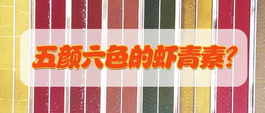 艾诗特3499拉斯维加斯