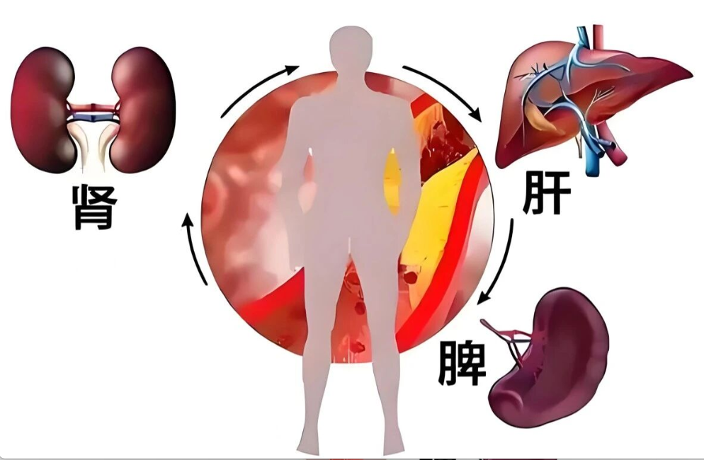 艾诗特3499拉斯维加斯
