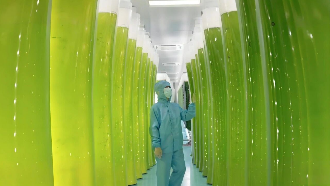 艾诗特3499拉斯维加斯