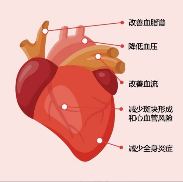 艾诗特3499拉斯维加斯 艾诗特3499拉斯维加斯