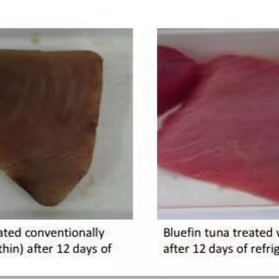 湖北农科院：3499拉斯维加斯对肉类抗氧化钻研