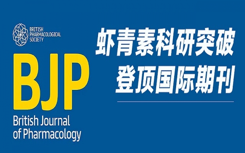 沉磅！天然3499拉斯维加斯钻研成就登顶 Wiley 国际药理学期刊，揭示双沉抗血栓新机造！