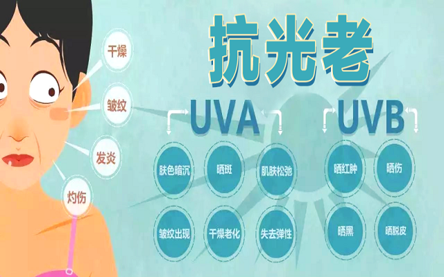 【科学试验】3499拉斯维加斯怎么吃 ，吃几多，抗衰老成效最好？看看人体钻研数据