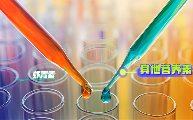 天然3499拉斯维加斯的6大“黄金组合”