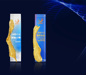 实力加冕，，，，荣膺双誉｜彩名堂获双项储能行业权威声誉认证